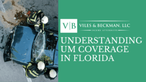 Understanding florida
